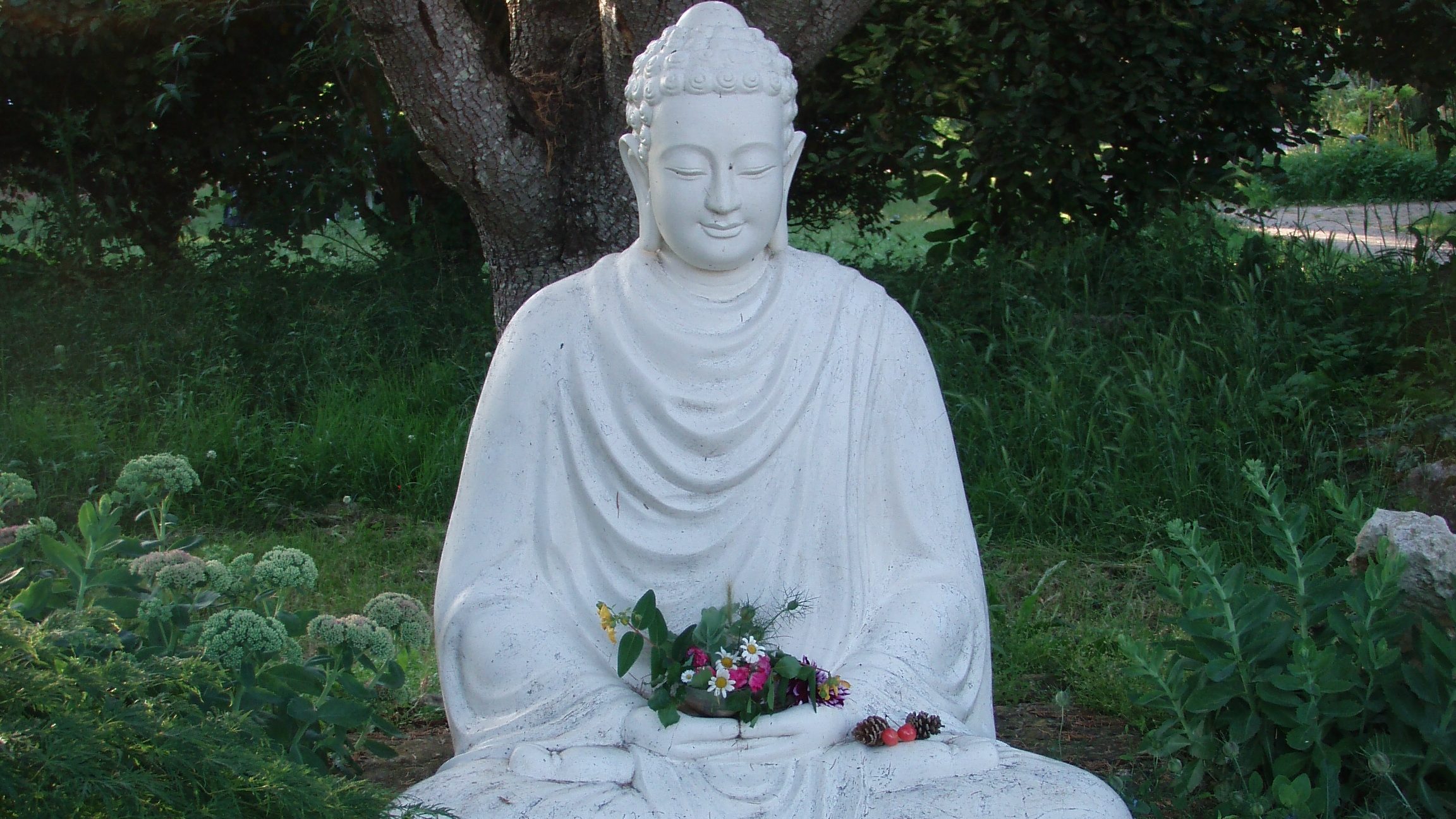 Buddha in Upper Hamlet